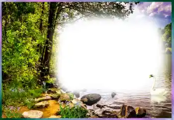 Efekt zdjęciowy z kategorii Różne № 127169 Efekt zdjęciowy z kategorii Różne № 127169