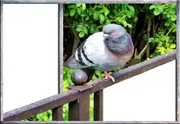 Efekt zdjęciowy z kategorii Różne № 127181 Efekt zdjęciowy z kategorii Różne № 127181