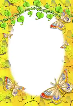 Efekt zdjęciowy z kategorii Różne № 12836