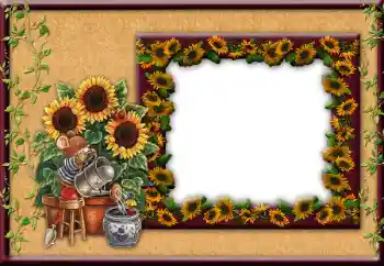 Efekt zdjęciowy z kategorii Różne № 12849