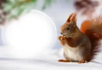 Efekt zdjęciowy z kategorii Różne № 128568 Efekt zdjęciowy z kategorii Różne № 128568