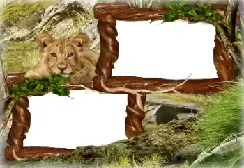 Efekt zdjęciowy z kategorii Różne № 128637 Efekt zdjęciowy z kategorii Różne № 128637