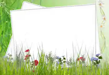 Efekt zdjęciowy z kategorii Różne № 12902