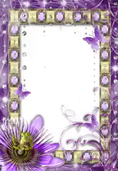 Efekt zdjęciowy z kategorii Różne № 12917