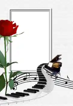 Efekt zdjęciowy z kategorii Różne № 129802