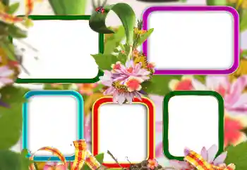 Efekt zdjęciowy z kategorii Różne № 129813