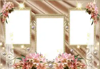 Efekt zdjęciowy z kategorii Różne № 129866