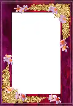 Efekt zdjęciowy z kategorii Różne № 130133