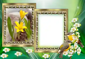 Efekt zdjęciowy z kategorii Różne № 130649