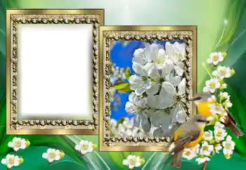 Efekt zdjęciowy z kategorii Różne № 130650