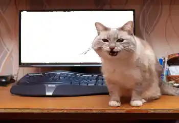 Efekt zdjęciowy z kategorii Różne № 130940 Efekt zdjęciowy z kategorii Różne № 130940