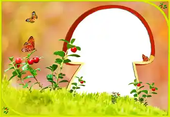 Efekt zdjęciowy z kategorii Różne № 131022 Efekt zdjęciowy z kategorii Różne № 131022