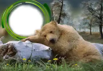 Efekt zdjęciowy z kategorii Różne № 131305