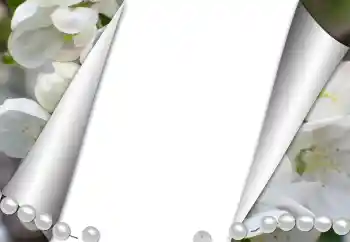 Efekt zdjęciowy z kategorii Różne № 131361