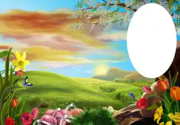 Efekt zdjęciowy z kategorii Różne № 131534 Efekt zdjęciowy z kategorii Różne № 131534