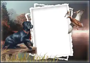 Efekt zdjęciowy z kategorii Różne № 132874