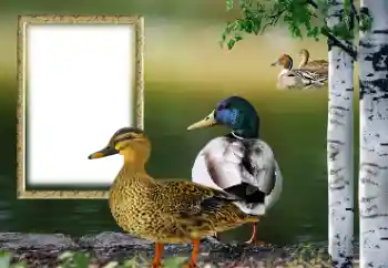 Efekt zdjęciowy z kategorii Różne № 132884