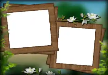 Efekt zdjęciowy z kategorii Różne № 132936