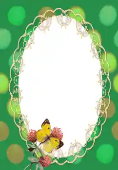 Efekt zdjęciowy z kategorii Różne № 132991