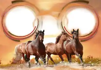 Efekt zdjęciowy z kategorii Różne № 133286