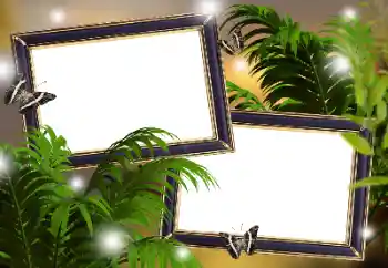 Efekt zdjęciowy z kategorii Różne № 133299 Efekt zdjęciowy z kategorii Różne № 133299