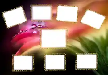 Efekt zdjęciowy z kategorii Różne № 138545