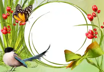 Efekt zdjęciowy z kategorii Różne № 138546