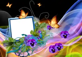 Efekt zdjęciowy z kategorii Różne № 138568