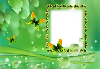 Efekt zdjęciowy z kategorii Różne № 138569