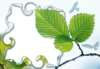 Efekt zdjęciowy z kategorii Różne № 13921