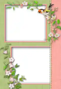 Efekt zdjęciowy z kategorii Różne № 13930