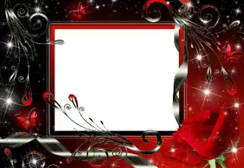 Efekt zdjęciowy z kategorii Różne № 139827 Efekt zdjęciowy z kategorii Różne № 139827