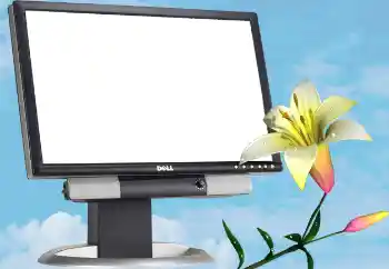 Efekt zdjęciowy z kategorii Różne № 13988