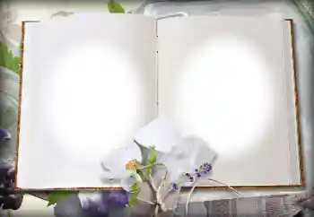 Efekt zdjęciowy z kategorii Różne № 139914 Efekt zdjęciowy z kategorii Różne № 139914