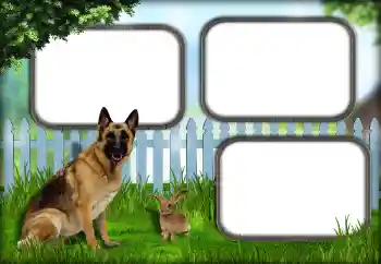 Efekt zdjęciowy z kategorii Różne № 139921 Efekt zdjęciowy z kategorii Różne № 139921