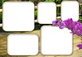 Efekt zdjęciowy z kategorii Różne № 140964 Efekt zdjęciowy z kategorii Różne № 140964