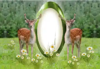 Efekt zdjęciowy z kategorii Różne № 142259 Efekt zdjęciowy z kategorii Różne № 142259