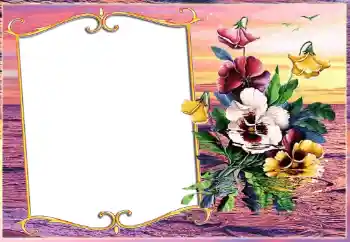 Efekt zdjęciowy z kategorii Różne № 143511 Efekt zdjęciowy z kategorii Różne № 143511