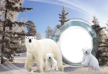 Efekt zdjęciowy z kategorii Różne № 143683 Efekt zdjęciowy z kategorii Różne № 143683