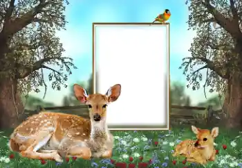 Efekt zdjęciowy z kategorii Różne № 143762 Efekt zdjęciowy z kategorii Różne № 143762