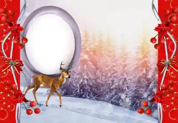 Efekt zdjęciowy z kategorii Różne № 144845 Efekt zdjęciowy z kategorii Różne № 144845