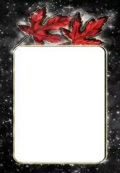 Efekt zdjęciowy z kategorii Różne № 144867 Efekt zdjęciowy z kategorii Różne № 144867