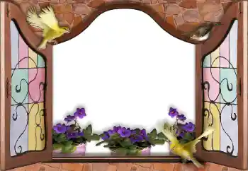 Efekt zdjęciowy z kategorii Różne № 145186 Efekt zdjęciowy z kategorii Różne № 145186