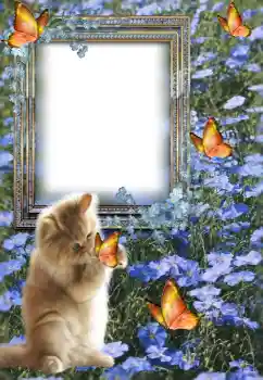 Efekt zdjęciowy z kategorii Różne № 147609