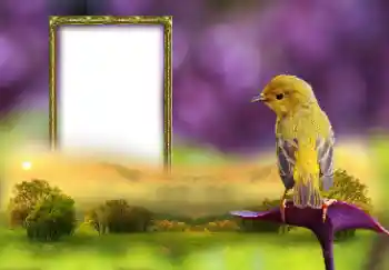 Efekt zdjęciowy z kategorii Różne № 147660