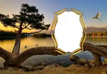 Efekt zdjęciowy z kategorii Różne № 147663