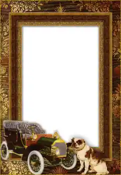 Efekt zdjęciowy z kategorii Różne № 148971