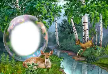 Efekt zdjęciowy z kategorii Różne № 149352 Efekt zdjęciowy z kategorii Różne № 149352