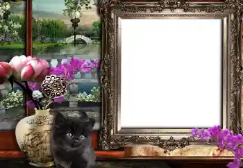 Efekt zdjęciowy z kategorii Różne № 149361 Efekt zdjęciowy z kategorii Różne № 149361