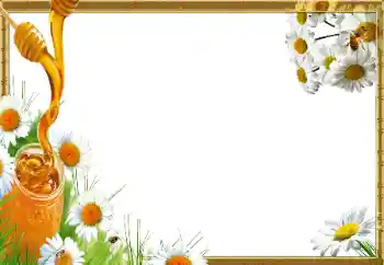 Efekt zdjęciowy z kategorii Różne № 14966